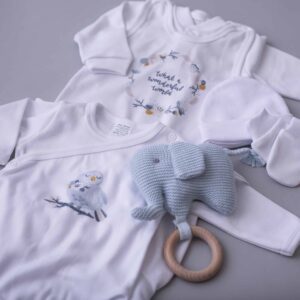 newborn baby clothes set, hospital outfit, baby first clothes, newborn first clothes, baby first outfit, layette